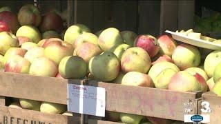 Double the value of your SNAP benefits at farmers markets