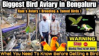 Biggest Birds Aviary in Bengaluru | ️  Watch this video before buying a bird   | Ram's Aviary