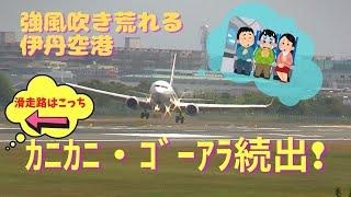 [Osaka Itami Airport] Itami Airport, where strong winds blow, crab walks and go-arounds continue!