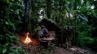 Solo Bushcraft, Rebuilding a Cabin Shelter, Enjoying the Night and Wildlife