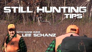 Still Hunting Tips with Maine Guide Lee Schanz, Jr. | Big Woods Bucks