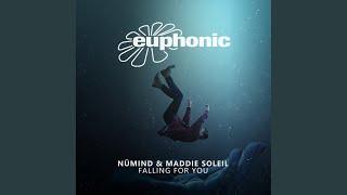 Falling for You (DJ Version)