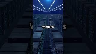 Wingbits  The Future of Decentralized