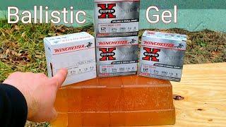 #4 #5 #6 Birdshot & 4 Buck vs Ballistic Gel Test 12 Gauge