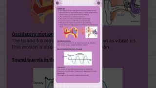 Sound- Science class 8 Easy Notes II for PSTET I #notes #pstetstudynotes #sciencelesson #feedshorts