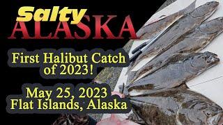 First Halibut Catch of 2023! I try out a robotic lure, with underwater footage!