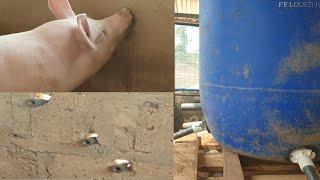 How to install Automatic Pig and piglet drinker  without pipe water (nipple) DIY