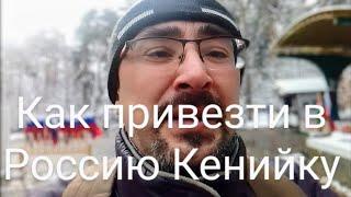 298. #Кения. #Как привезти Кенийку в Россию.