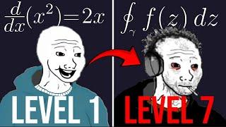 The 7 Levels of Calculus