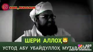 УСТОД АБУ  УБАЙДУЛЛО МУТАВАКИЛ