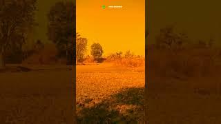 Amader Palas Bane Purulia #newpuruliasongs #newtrendingstatus