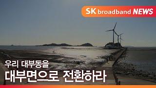 [안산] 우리 대부동을 대부면으로 전환하라 / SK브로드밴드한빛방송