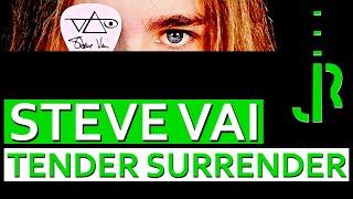 Steve Vai | Tender Surrender | guitar solo cover [hq/qhd]