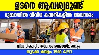 Dubai Jobs Malayalam/Dubai Govt and Semi Govt Jobs/Dubai Jobs Today/Gulf Job Malayalam/ Dubai Jobs