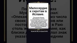 Милосердие к сиротам в Исламе.