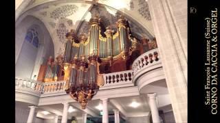 G. Ph. Telemann: Concerto D-Dur for Corno da caccia & Organ