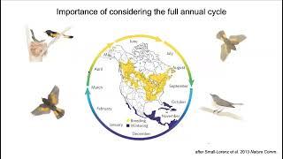 Webinar 2 Managing and Conserving Forests for Avian Biodiversity