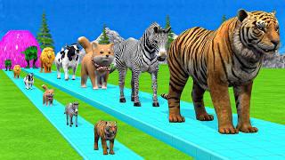 Paint & Animals Tiger,Duck,Gorilla,Lion,Elephant,Cow Fountain Crossing Transformation Animal Cartoon