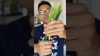 This is how to pronounce pandan