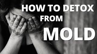 Mold Detox- The Most Powerful Tools