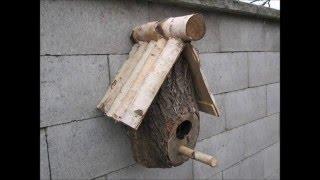 Making a DIY Birdhouse from a log