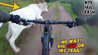 Best MTB Fails Of 2022 #91 | MTB Crashes of 2022 / Mtb classic