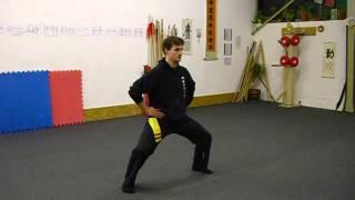 Choy Lay Fut / Gan Dan Ma / Basic Form