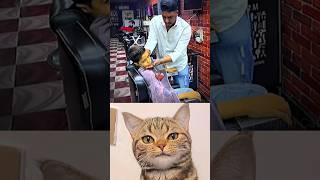 smart boy #cat #memes #funny #trending