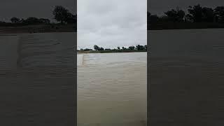 Bhare gaon ka naadi#vairalvideo