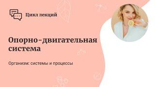 Опорно-двигательная система