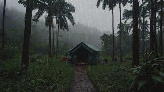 Suara hujan deras di hutan dengan membangun shelter