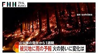 「待望の雨」大船渡の山火事が発生から丸1週間…38日ぶりの雨で火の勢いは？焼失面積は5日朝時点で“山手線内半分”に　岩手