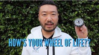 Wheel of Life Reset Ketamine Video