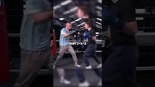 Steal The Combo I Used To Win This Fight 