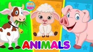 Farm Animals Learning For Kindergarten | Animals Name | Kindergarten Learning Videos | Kids Edubox