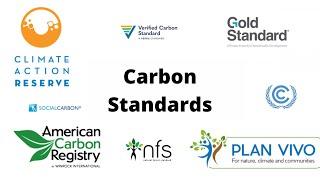 Carbon Standards in 2021 - Best Carbon Registries 2021