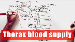 Arterial supply of the Thorax - Anatomy Tutorial