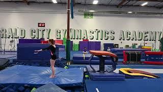 Seattle Seals Xcel Platinum - EmilyH Vault (Feb. 26, 2023) #virtualstarsgymnastics