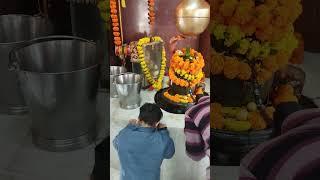 Har Har shambhu#mahadev #shorts