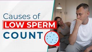 Causes of Low Sperm Count | Oligospermia Natural Treatment | Dr. Health