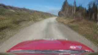 Timed runs at the Forest Experience Rally School