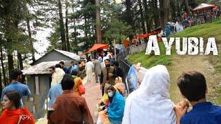 Ayubia Murree - A Low budget trip Ayubia