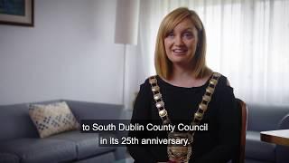 South Dublin County Council at 25