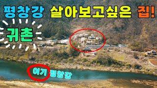 (가격내림)시골에 내려오신다면 바로이집..! 평창강 위치 좋은집 과 넓은토지#귀촌추천#귀촌좋은집#귀촌할곳