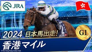 2024年 香港マイル（G1）| ヴォイッジバブル |JRA公式