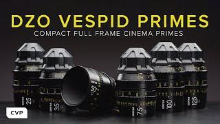 DZOFILM Vespid Prime Series | Review & Test Footage