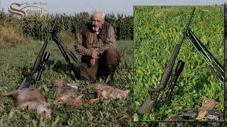 Wild Boar & Jackals hunting in Croatia - Visnjicki bok - Caza de jabalíes y chacales en Croacia