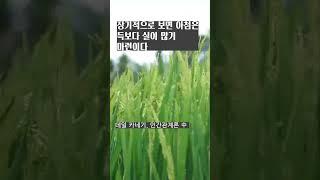칭찬과 아첨의 차이점