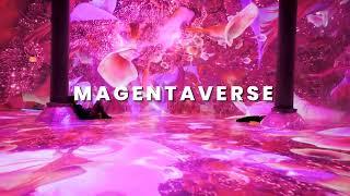 MAGENTAVERSE at ARTECHOUSE NYC | ARTECHOUSE x PANTONE