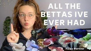 All the Bettas I’ve Ever Had (38 BETTAS) | Haley Martine